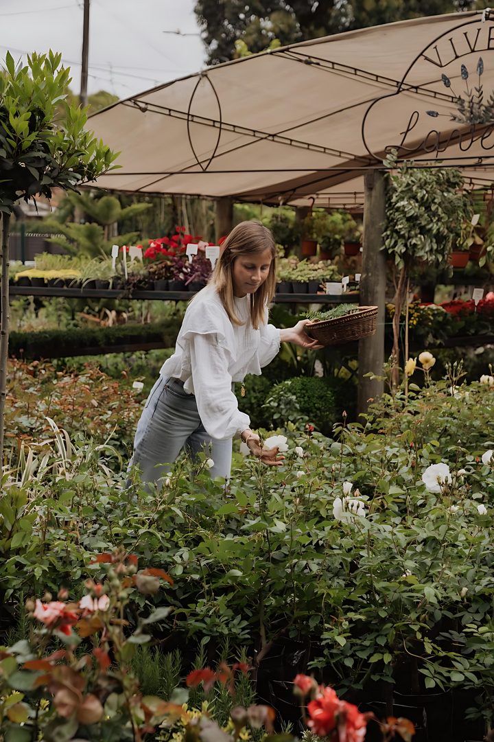 Una persona elige plantas entre los canteros del vivero Lavender